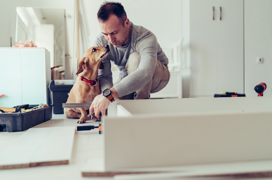 maître et chien en travaillent