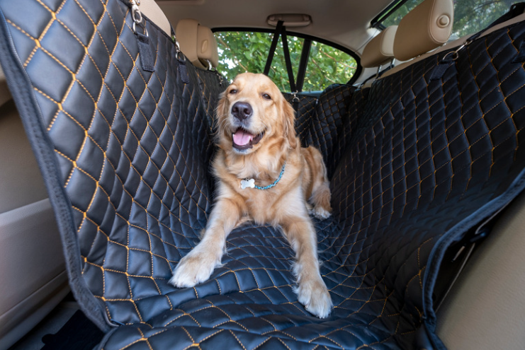 Couverture de protection pour chien dans une voiture