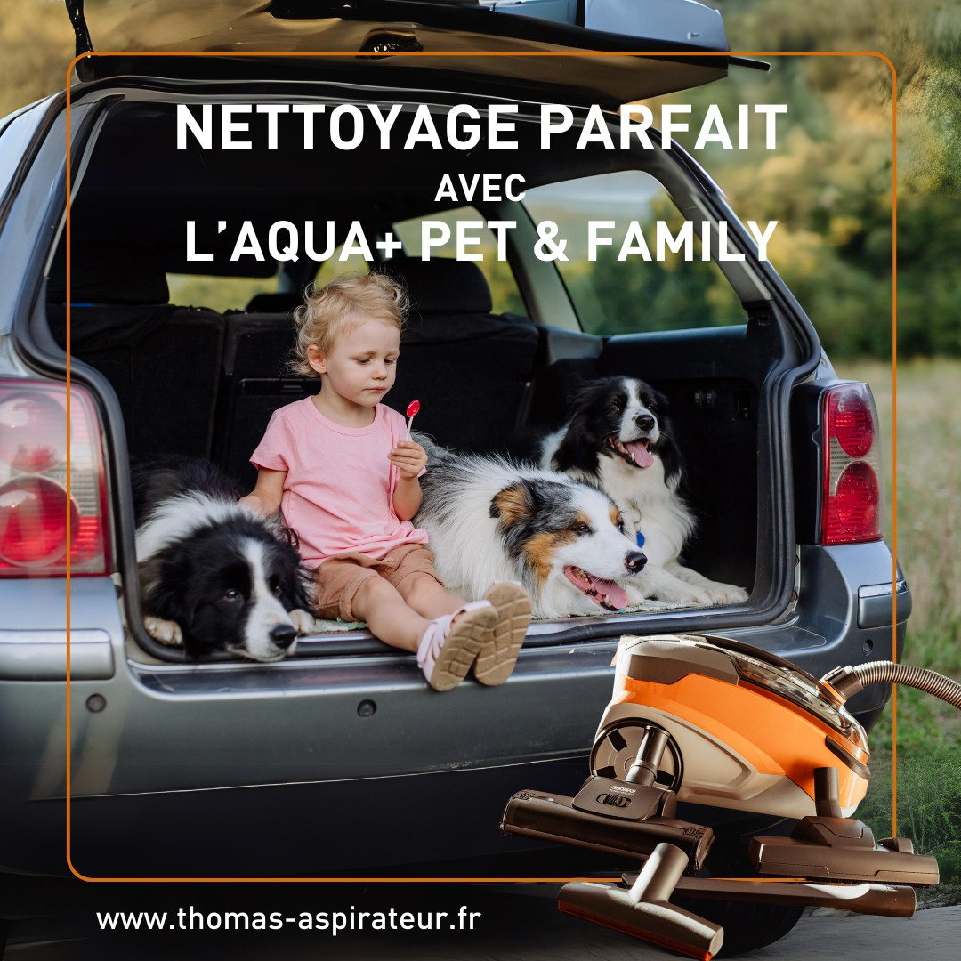 Chien dans le coffre d'une voiture avec un enfant