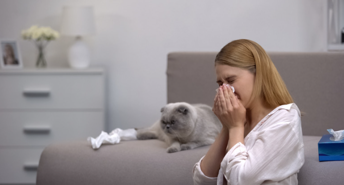 Femme qui se mouche à cause de poils de chat