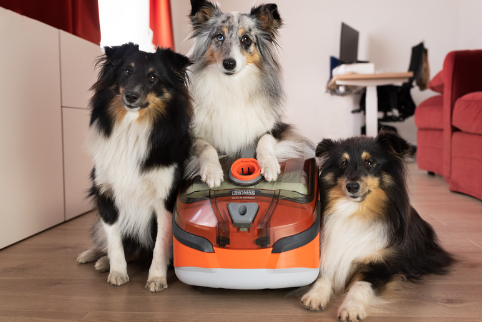 Aspirateur pour chats à poils longs