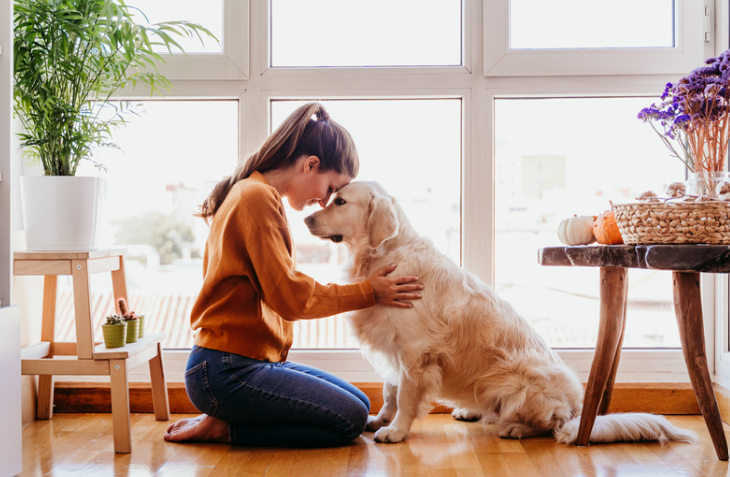 Femme qui colle son front sur la tête de son chien stressé