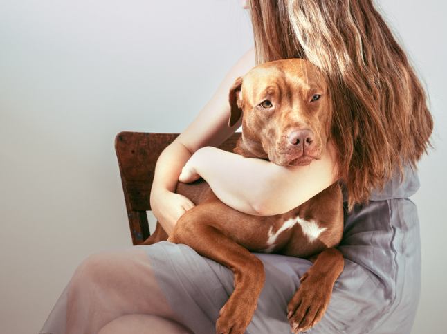 Chien dans les bras de son maitre