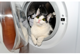 7 astuces pour enlever les poils de chats à la machine à laver